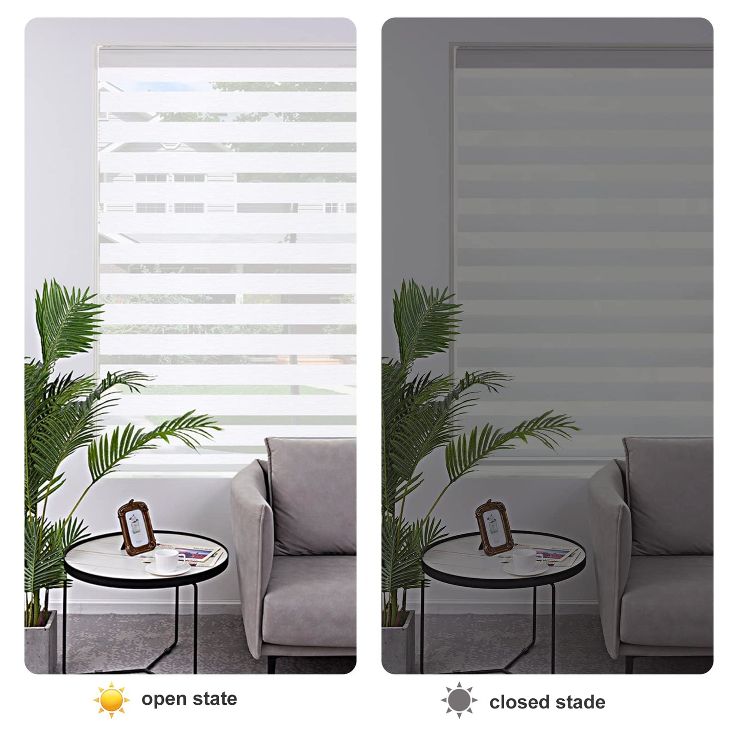 Zebra Roller Window Blinds,Custom Cut to Size,Roller Blinds Dual Layer Roller Shade Blinds, White,Fixed 64 InchesHigh,20 Inches Width
